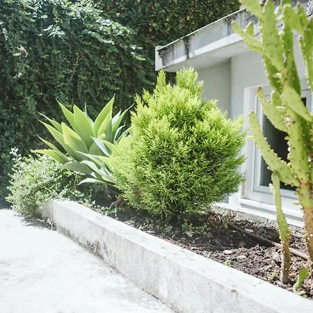 哥斯达城堡公寓 公寓 *